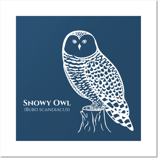 Snowy Owl with common and Latin Names - owl design for bird lovers Wall Art by Green Paladin